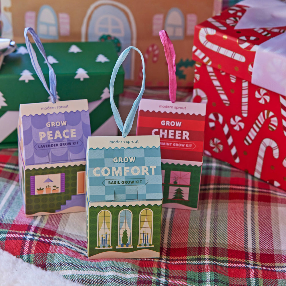 
                      
                        Home Grown Ornaments - Seed Starting Kit
                      
                    