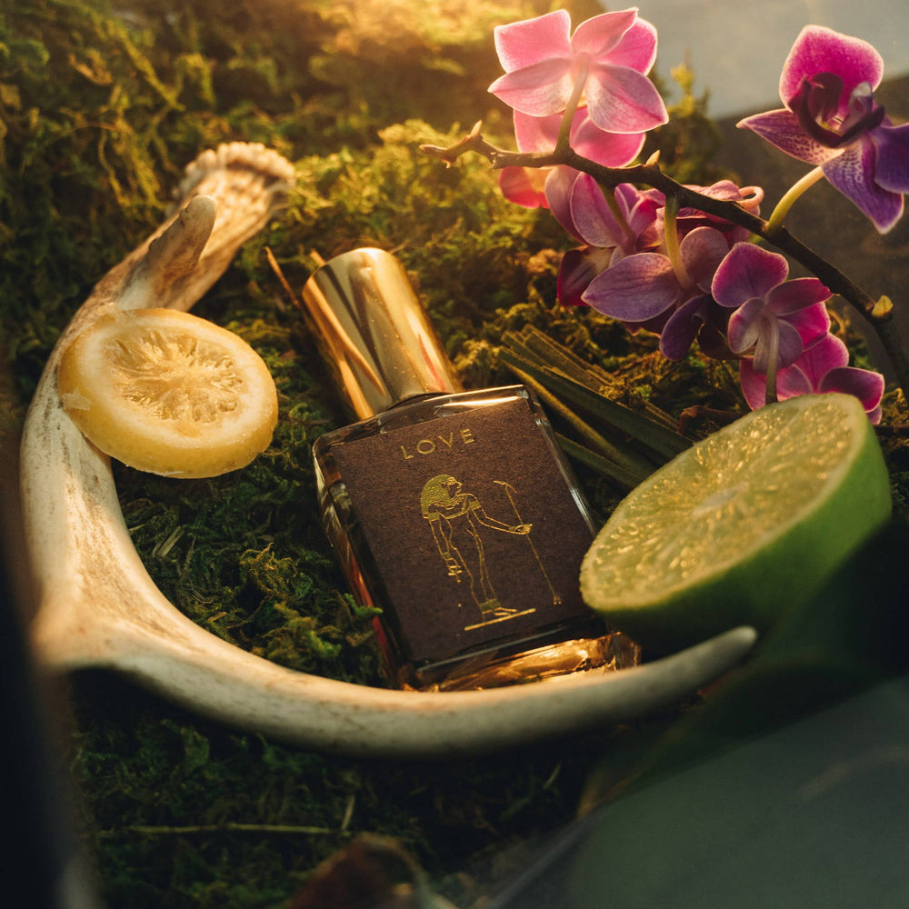 
                      
                        Potion Perfume Love
                      
                    