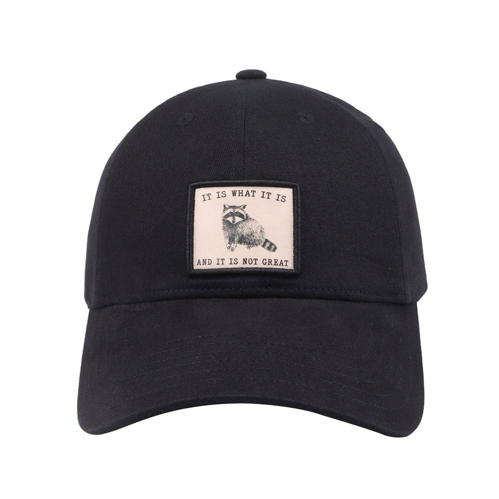 HatPhile “It Is What It Is (And It Is Not Great)” Embroidered Black Baseball Cap