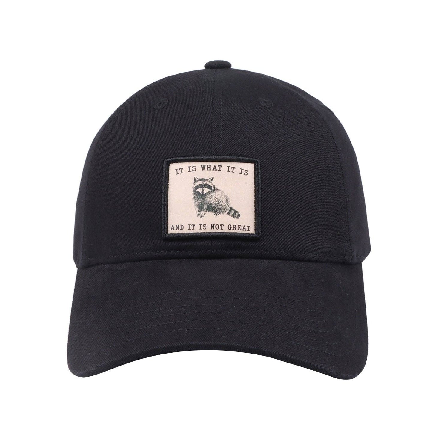HatPhile “It Is What It Is (And It Is Not Great)” Embroidered Black Baseball Cap