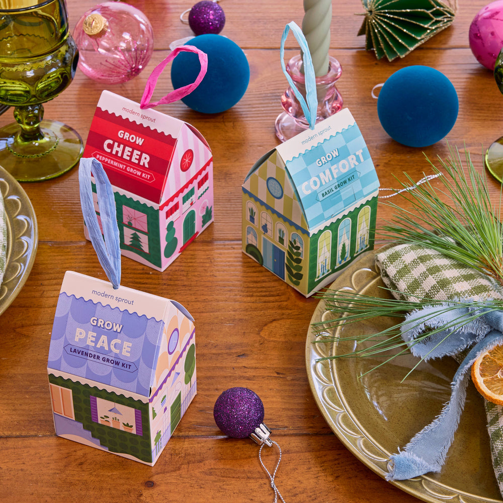 
                      
                        Home Grown Ornaments - Seed Starting Kit
                      
                    