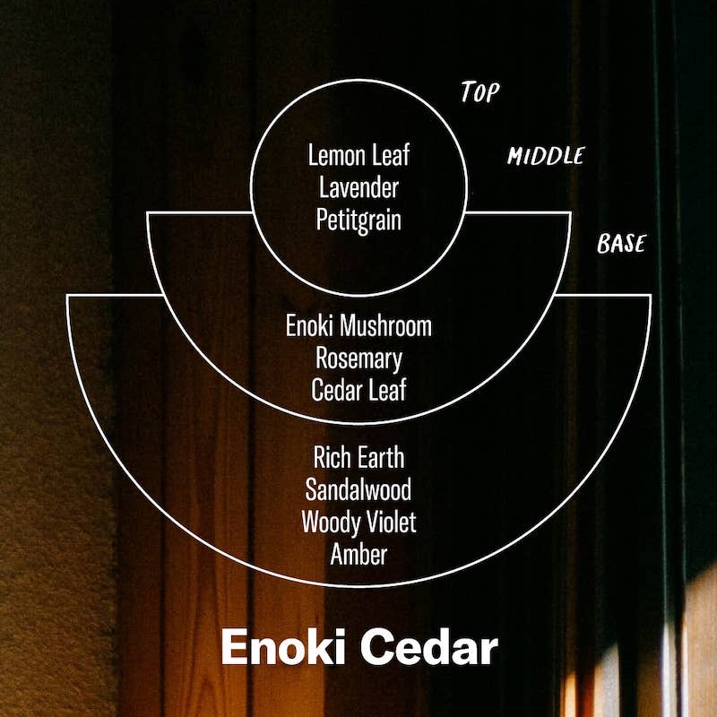 
                      
                        Enoki Cedar - Alchemy Incense Cones
                      
                    