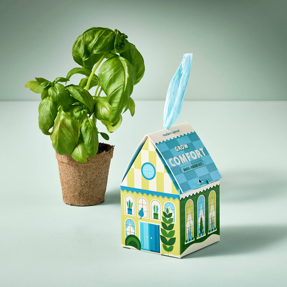 
                      
                        Home Grown Ornaments - Seed Starting Kit
                      
                    