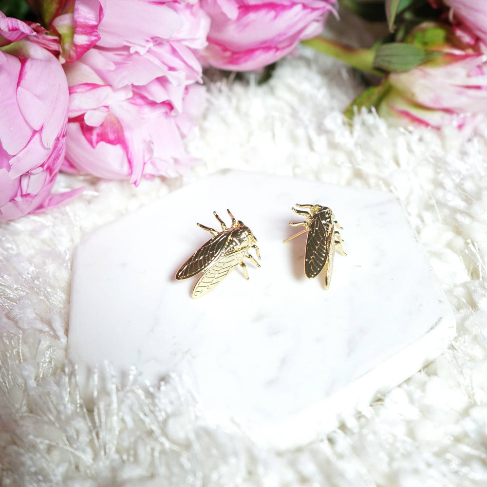 Cicada Studs - 18k gold plated