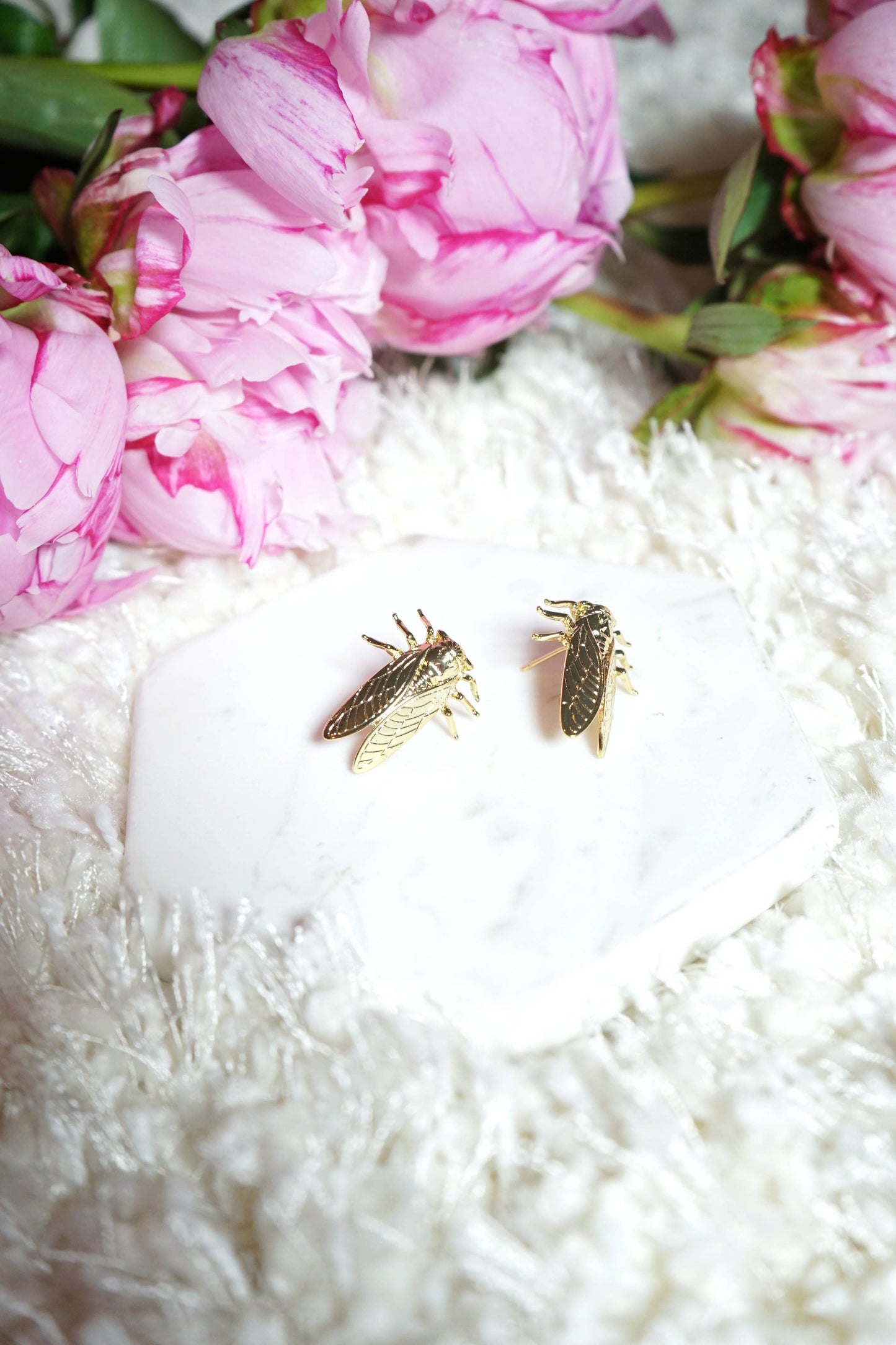 Cicada Studs - 18k gold plated