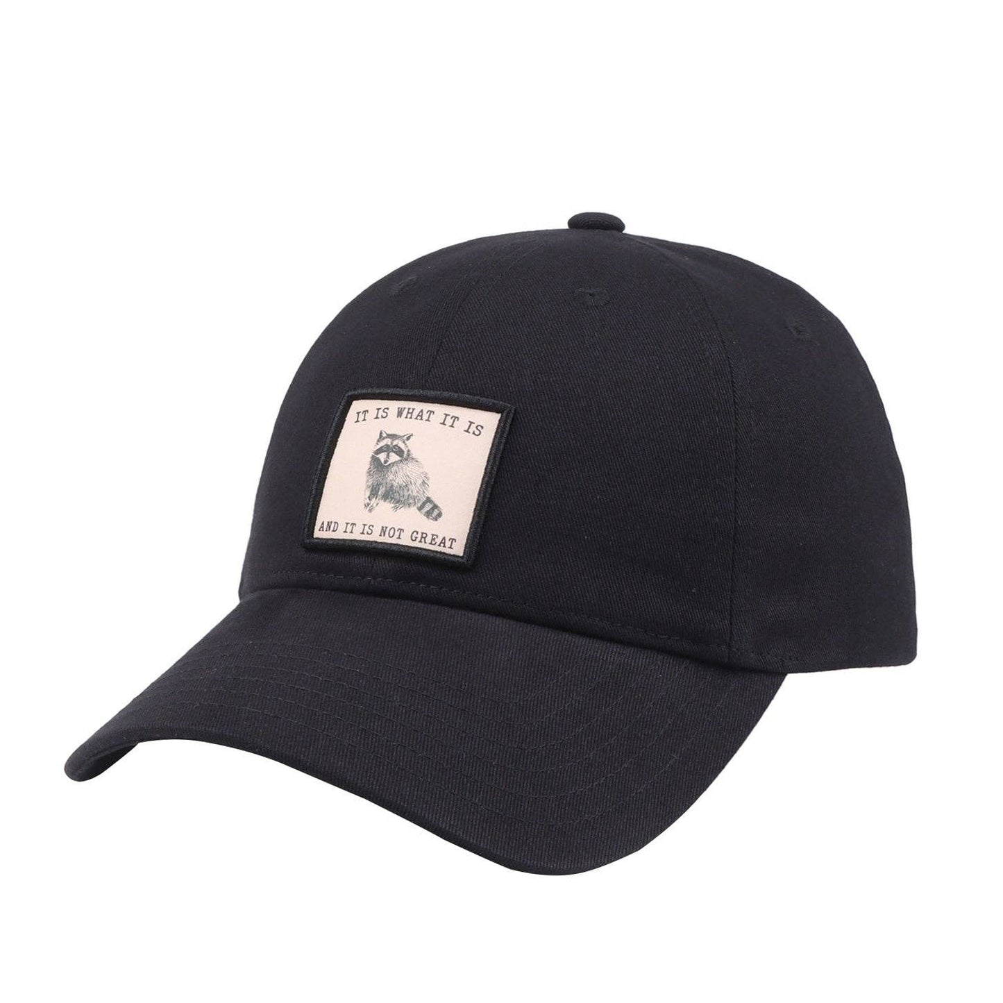 HatPhile “It Is What It Is (And It Is Not Great)” Embroidered Black Baseball Cap