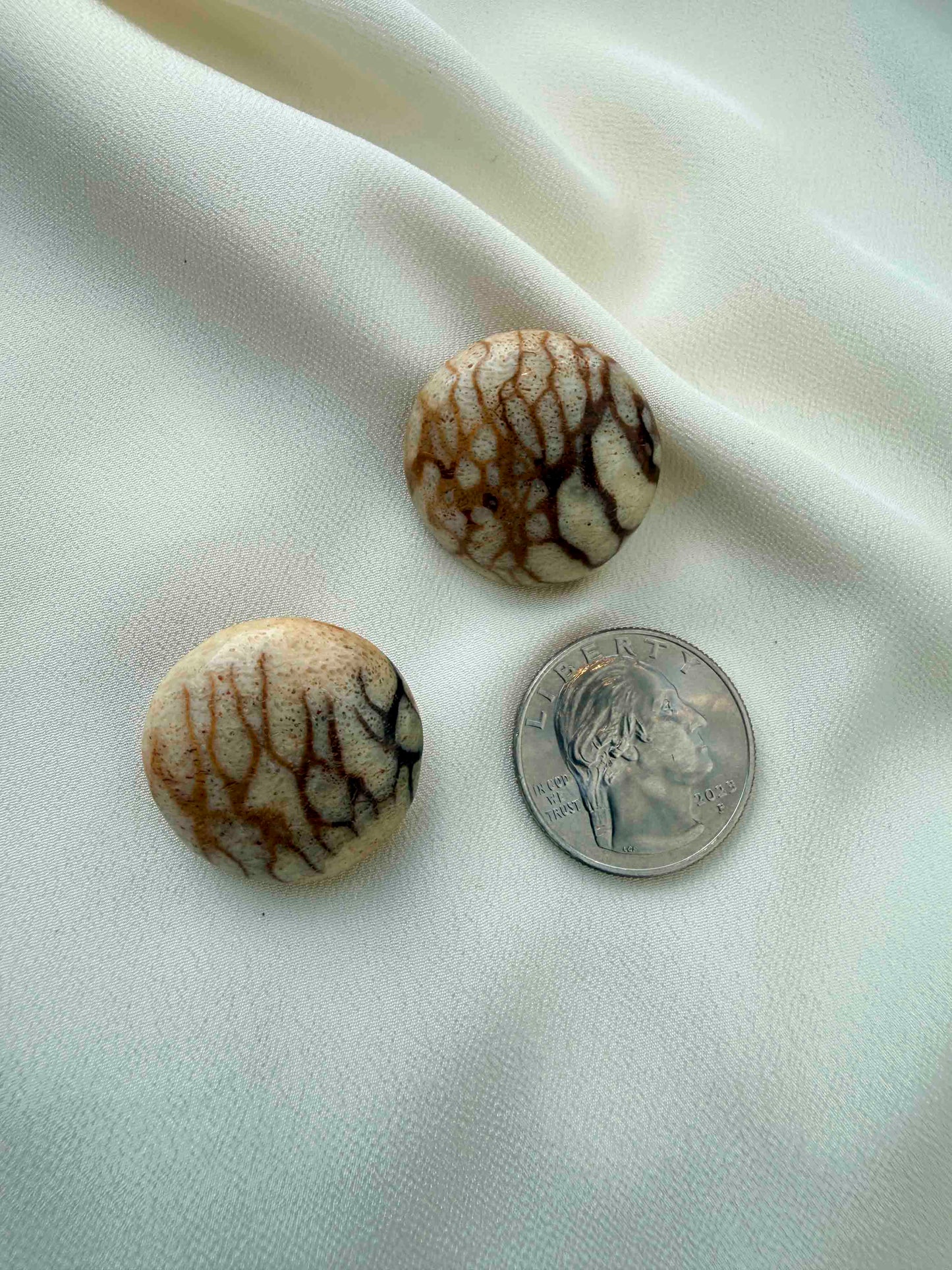 Vintage Desert Stone Cream Abstract Design Earrings