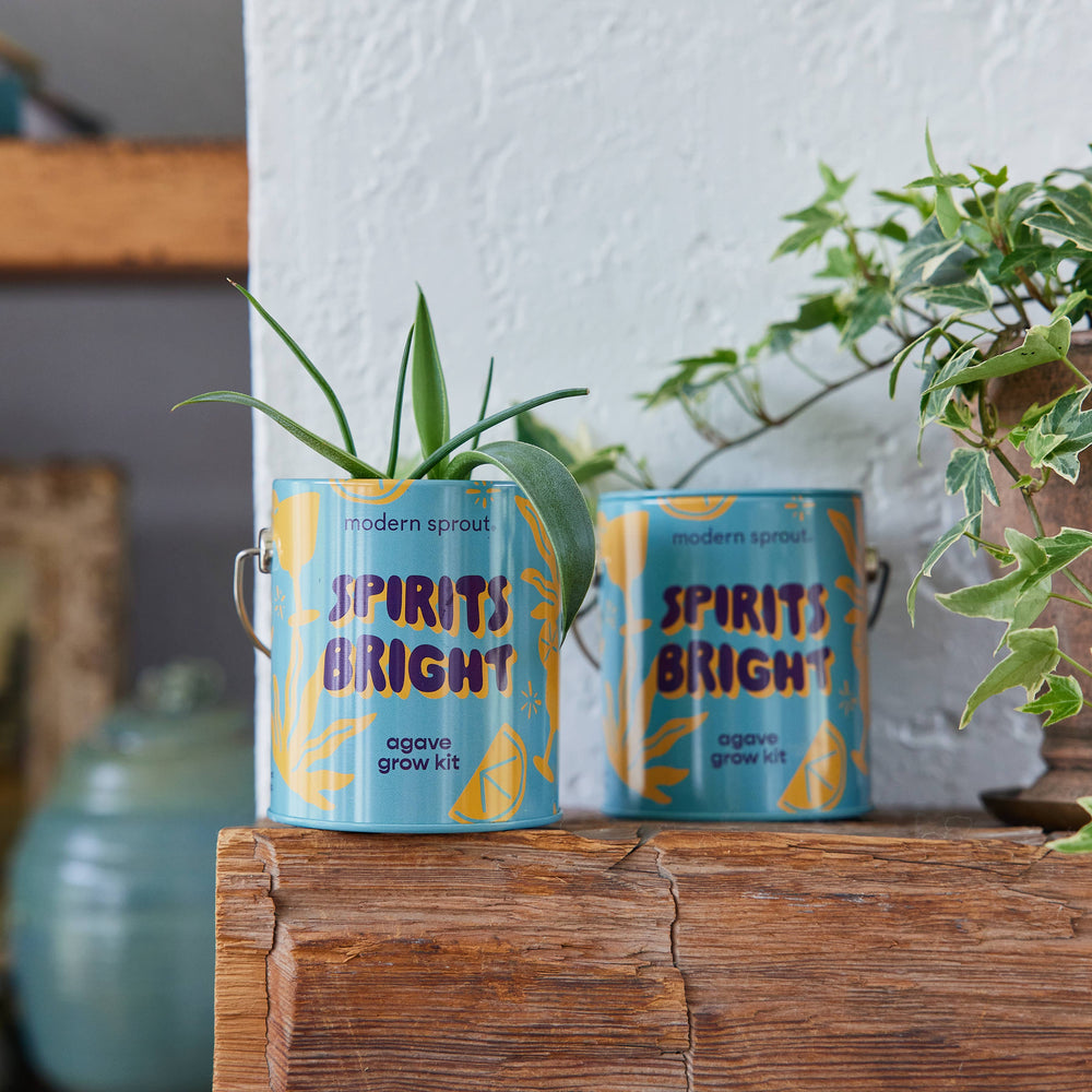 
                      
                        Holiday Complimentary Colors Grow Kits
                      
                    