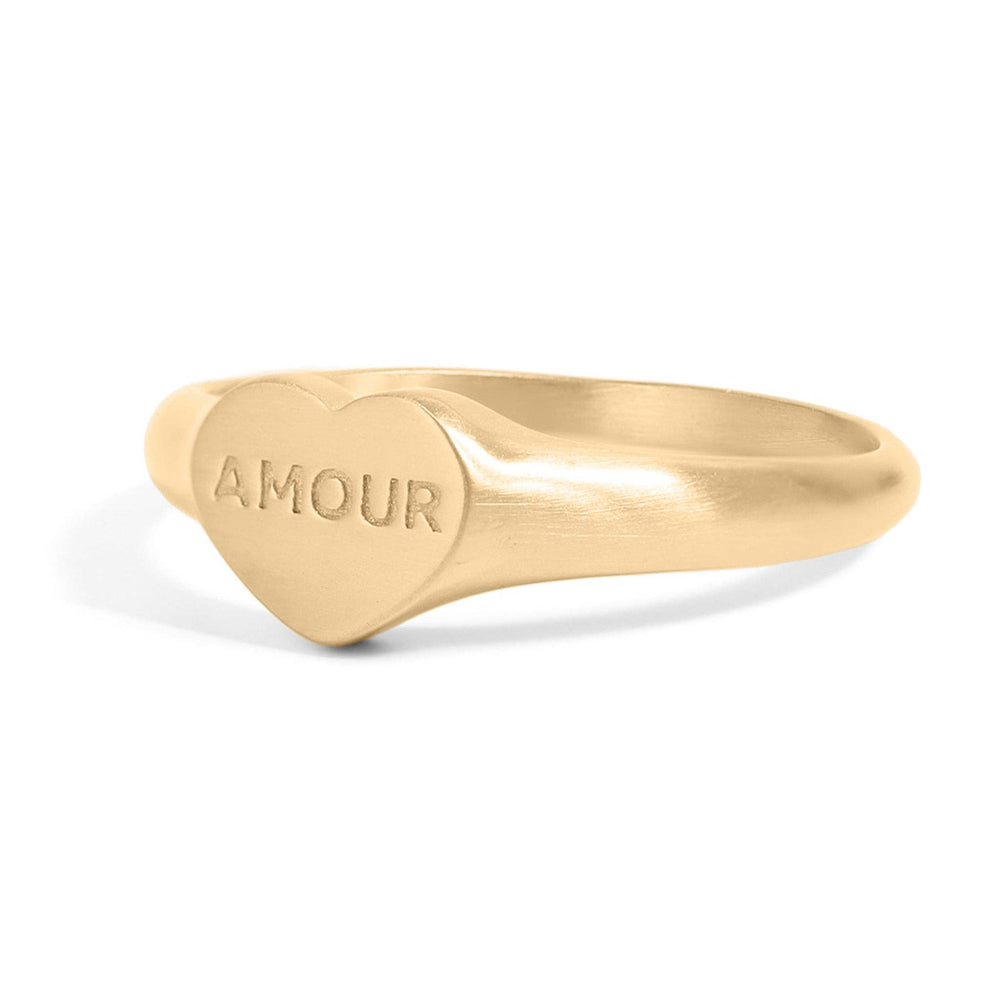 
                      
                        Amour Heart Signet Ring
                      
                    