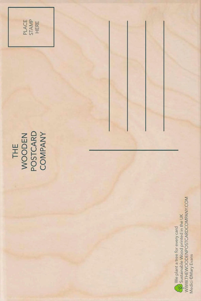 "Parachuting Birthday" Wooden Postcard