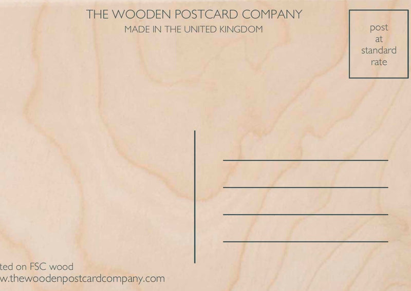 SKATERS wooden postcard